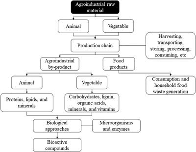 Biological Approaches for Extraction of Bioactive Compounds From Agro-industrial By-products: A Review